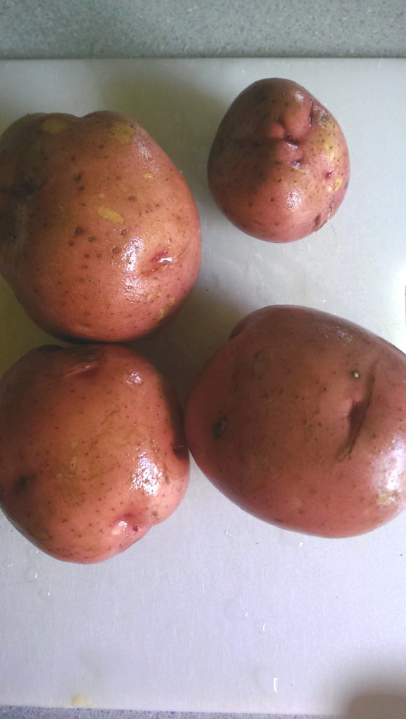 Red Potatoes