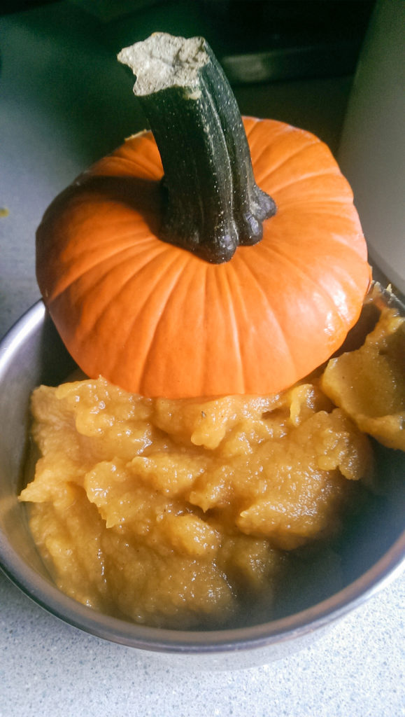 Fresh Pumpkin